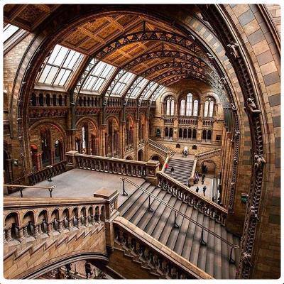 Natural History Museum di Londra